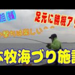 釣り動画ロマンを求めて 520釣目※後編（本牧海づり施設）