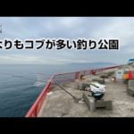 人よりもコブが多い釣り公園【TANKOBUGAMER VOL.14】