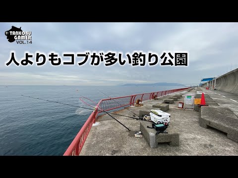 人よりもコブが多い釣り公園【TANKOBUGAMER VOL.14】