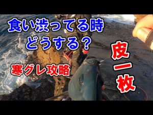 【ふかせ釣り】グレが食い渋っている時にする仕掛け変更。南紀の磯で寒グレ釣り。
