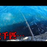 うじゃうじゃ集まって来た魚の中に餌を落とすと…