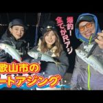 全て尺アジ！和歌山・ボートアジング【ガッ釣り関西182】