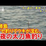 2月の淡路島、青物ノマセ釣り調査。夜は太刀魚仕掛投げていく。2月4週目の青物泳がせ釣りと太刀魚釣り。