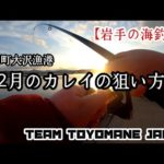 【岩手の海釣り】山田町大沢漁港 2月のカレイの狙い方