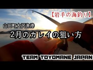 【岩手の海釣り】山田町大沢漁港 2月のカレイの狙い方