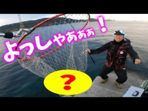 高級魚を根から引きずり出したった‼