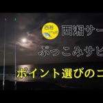 西湘サーフ　ぶっこみサビキ　アジ釣り　No.８