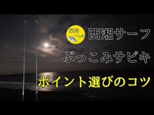 西湘サーフ　ぶっこみサビキ　アジ釣り　No.８