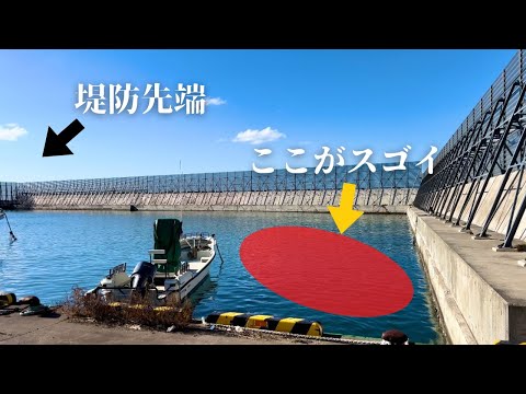 誰も釣りをしない堤防の端っこで70cm超えの大物が次々と釣れるの知ってる？