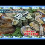 三重県鳥羽エリア 極寒の離島でエンジョイ！？アジング！！【釣りビジョン番組紹介】