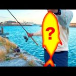 一番の大物を釣ったけど呪われたかもしれません…