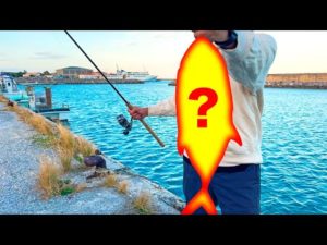 一番の大物を釣ったけど呪われたかもしれません…