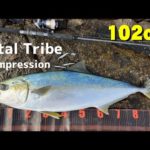 メタルトライブ実釣インプレ！メーターオーバーの青物に対応できるコスパのいいショアジギングロッドを解説！