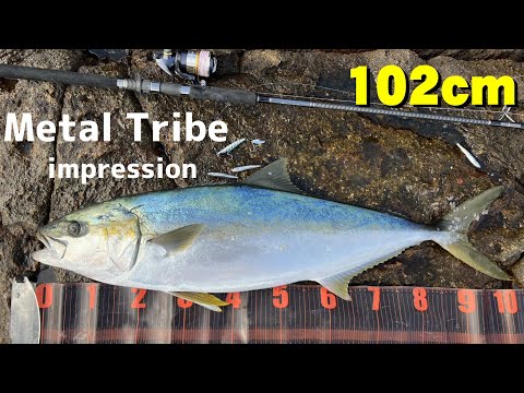 メタルトライブ実釣インプレ！メーターオーバーの青物に対応できるコスパのいいショアジギングロッドを解説！