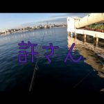 【大阪 釣り】どうしちまったんだ、海よ。