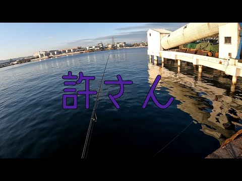 【大阪 釣り】どうしちまったんだ、海よ。