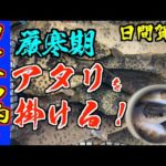 【カットウ釣り】ヒガンフグの聖地で今季ラストのフグ釣り 厳寒期の低活性にアタリを出して掛ける！