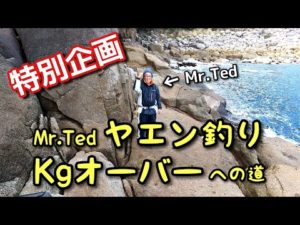 特別企画 MR.ted ヤエン釣りkgオーバーへの道  「初めてヤエンでアオリイカを釣った日」@アオリイカ のヤエン釣りに行きました。♯ヤエン釣り ♯障泥烏賊 ♯磯釣り