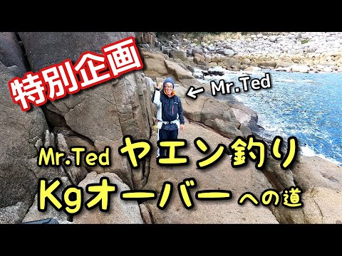 特別企画 MR.ted ヤエン釣りkgオーバーへの道  「初めてヤエンでアオリイカを釣った日」@アオリイカ のヤエン釣りに行きました。♯ヤエン釣り ♯障泥烏賊 ♯磯釣り