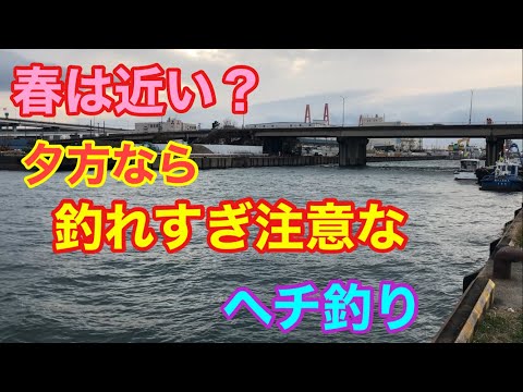 春は近い？夕方なら釣れすぎ注意なヘチ釣り 名古屋港