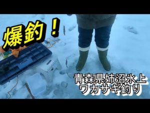 今年は爆釣でした♪　2023 姉沼ワカサギ釣り 今季２回目