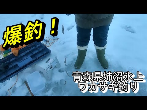 今年は爆釣でした♪　2023 姉沼ワカサギ釣り 今季２回目