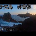 【神子元島】大きい尾長メジナを釣りたい　沖青根【2022.6】