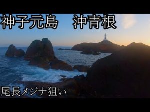 【神子元島】大きい尾長メジナを釣りたい 沖青根【2022.6】