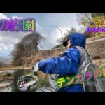 こんなにも釣れる謎多きこの管理釣り場って一体…平蔵が見せるテンカラ釣り