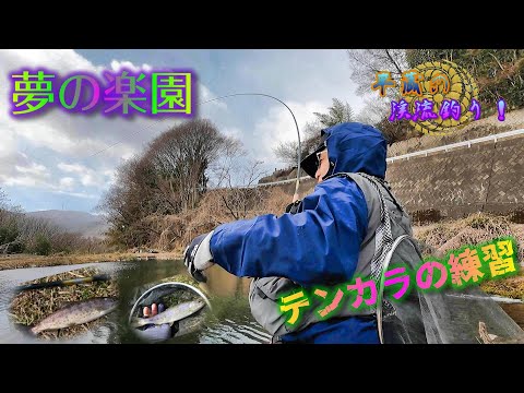 こんなにも釣れる謎多きこの管理釣り場って一体…平蔵が見せるテンカラ釣り