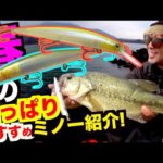 【春のバス釣り】春の陸っぱり超おすすめのバス釣りルアーはこれだ！