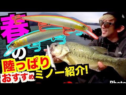 【春のバス釣り】春の陸っぱり超おすすめのバス釣りルアーはこれだ！
