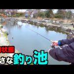 手作りの小さな釣り池を貸切状態で釣りしてみたら楽しすぎた！
