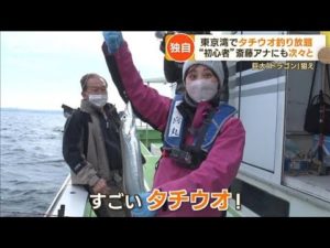 【独自】東京湾で「タチウオ」釣り放題 巨大「ドラゴン」も…気候変動で“急増”【もっと知りたい!】(2023年2月2日)