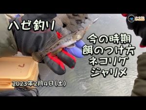 ハゼ釣り 今の時期 餌のつけ方 ネコリグ ジャリメ 2023年2月4日