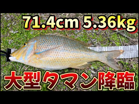 ついに！！大型タマン降臨！！【打ち込み釣り】【沖縄釣り】