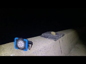 生配信でヤリイカを釣りたい。【そしてウキは沈んだ】