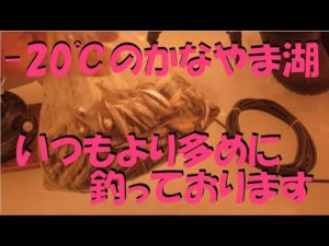 極寒-20℃のワカサギ釣り　気合も欲も上げていつもよりちょっとだけ多めに釣りました