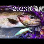 愛知県の小渓流 寒狭川上流解禁日2023！T-Gravits50Sでデカ鱒が釣れた！【渓流釣り解禁 2023】