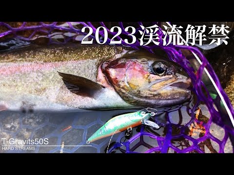 愛知県の小渓流 寒狭川上流解禁日2023！T-Gravits50Sでデカ鱒が釣れた！【渓流釣り解禁 2023】