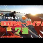 【かかり釣り】真冬の尾鷲！マルトモ水産さん