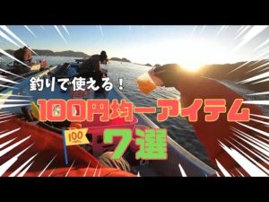 【かかり釣り】真冬の尾鷲！マルトモ水産さん
