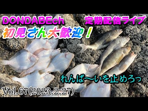 【定期配信ライブ】魚、釣りたい。釣り、楽しみたい。さぁライブだよ～！