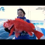 【釣り百景】#472 身近になった深海の世界 名手二人がアコウダイを狙う！