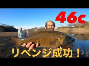 【埼玉バス釣り】リベンジ5日目！元荒川堰上ポイントで46センチ！【スモールマウスバス】