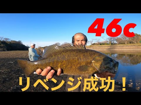 【埼玉バス釣り】リベンジ5日目!元荒川堰上ポイントで46センチ!【スモールマウスバス】