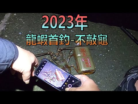 2023年 龍蝦首釣不敲龜 這麼久沒釣 手感都有點生疏了 #岸釣龍蝦 #穴釣り #伊勢海老釣り #釣軟絲 #木蝦 #岸拋 #釣花枝