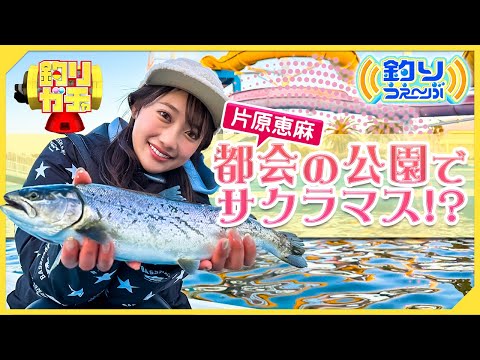 【釣りガチャ】片原恵麻が千葉市の公園でサクラマス狙い＆アウトドア体験！
