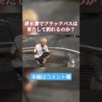 排水溝で釣りしてみた #shokurosfishing #バス釣り #ブラックバス