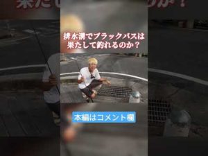 排水溝で釣りしてみた #shokurosfishing #バス釣り #ブラックバス